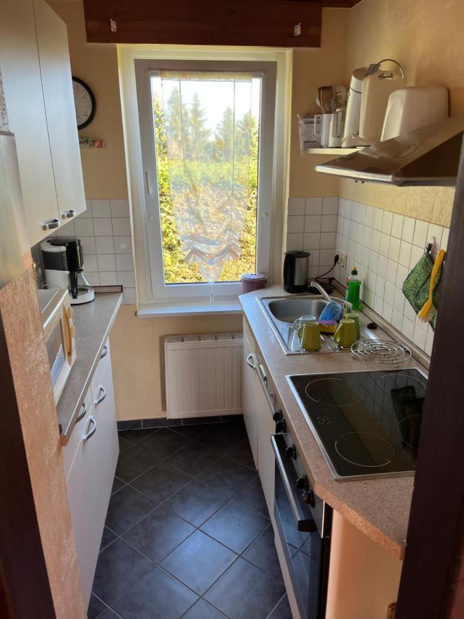 Ferienhaus Guenther Harzgerode/Schielo Buitenkant foto